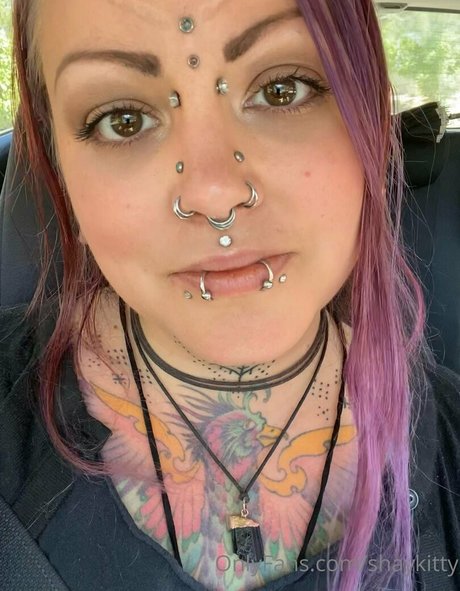 shaykitty Profile pic