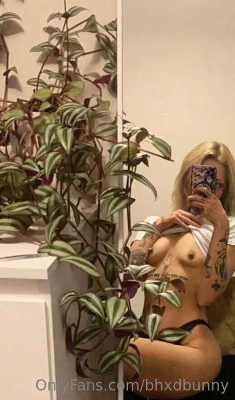 bhxdbunny onlyfans leaks free