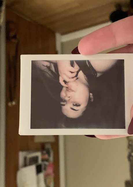 maisonfoxqueen onlyfans nude leaked