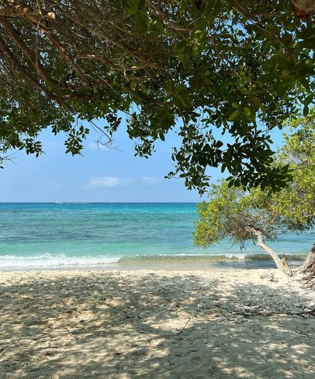 Mally Restrepo Profile pic