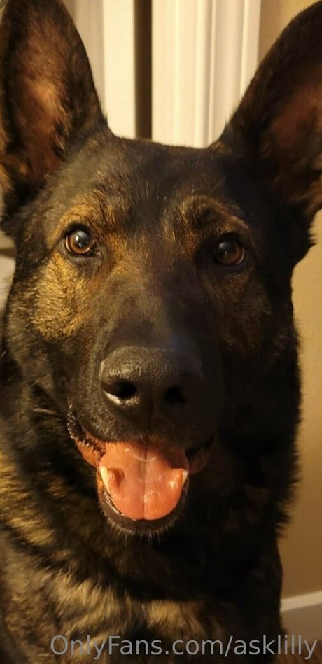 asklilly onlyfans model