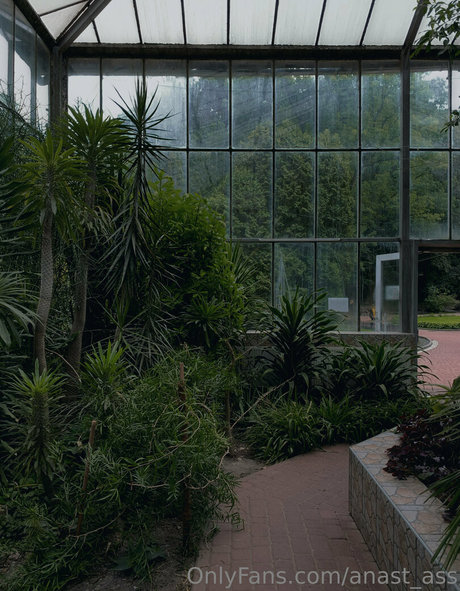 anast ass onlyfans explicit content