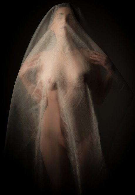 shemale blowjob onlyfans hot porn gallery