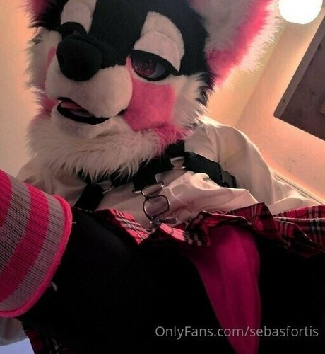 sebasfortis xxx onlyfans