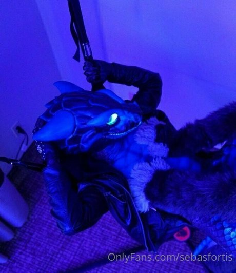 sebasfortis free onlyfans