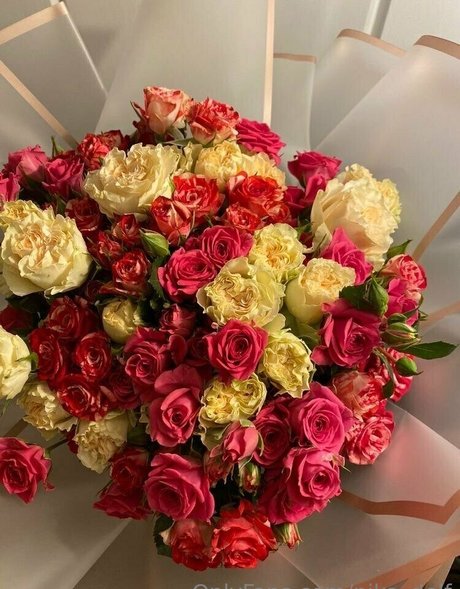 nika delf onlyfans leaks porn