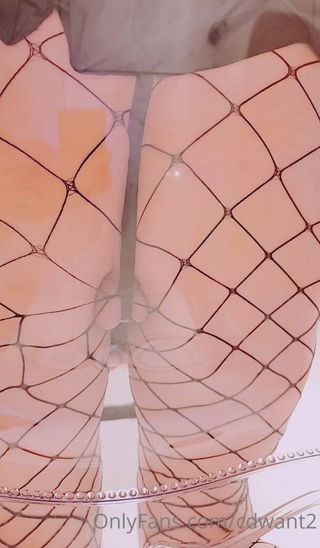 cdwant2 only fans pic