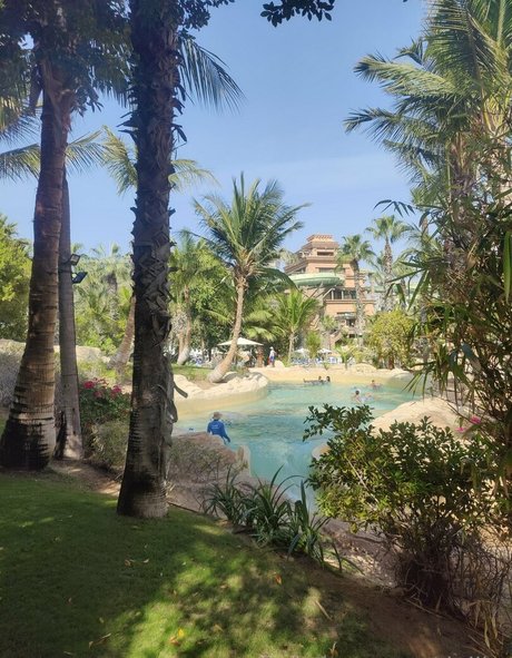 dejiko leaks onlyfans porn