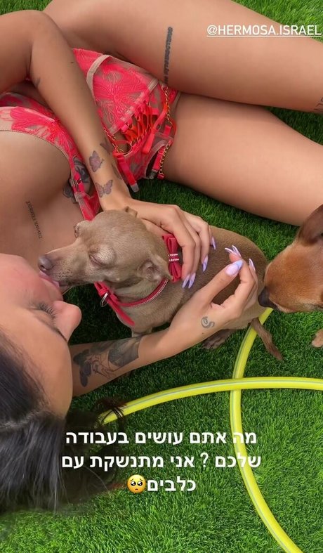 Pussie007 free only fans