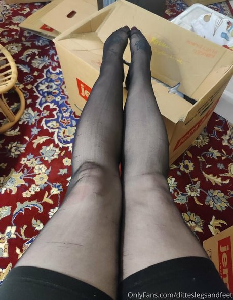 ditteslegsandfeet nudes onlyfans leaks