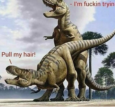 snovixen only fans porn