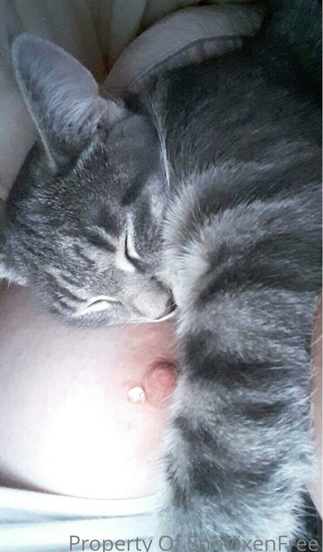 snovixen naked only fans