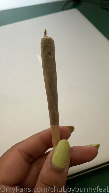 chubbybunnyfeabie leaked onlyfans.