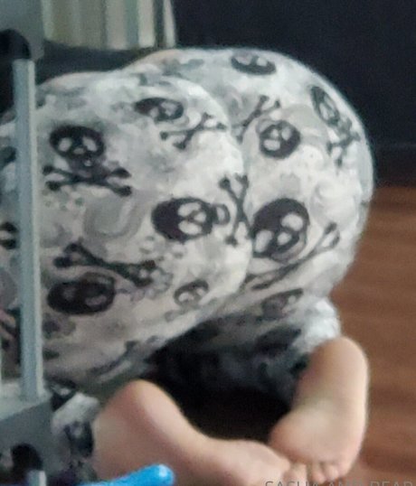 sashaandbear porn onlyfans