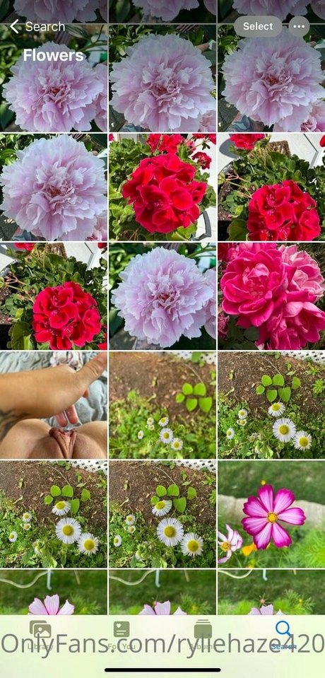 ryliehaze420 xxx onlyfans