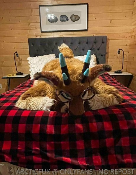 arcticfux onlyfans free content