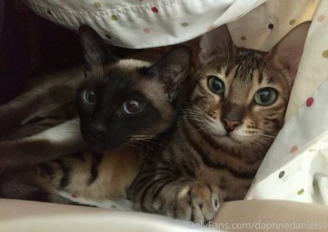 daphnedaniels1 onlyfans sex leak