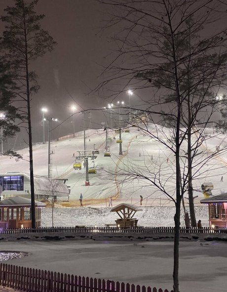 sweetmossy feet onlyfans