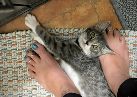 princessttoes porn onlyfans