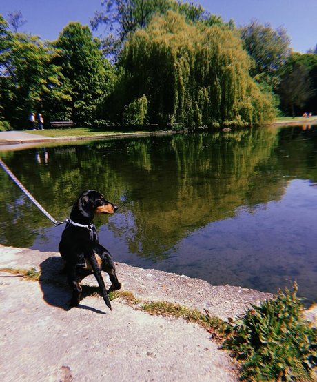 Lotten Sheppard porn only fans