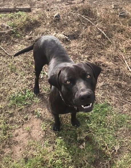 cute blonde onlyfans art nude illustration