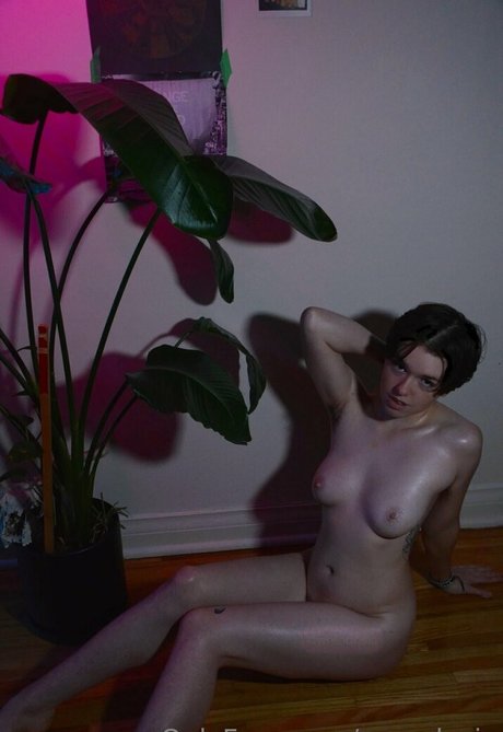 Wrendosia onlyfans pics