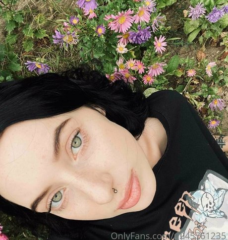 alicewonderfull fans only