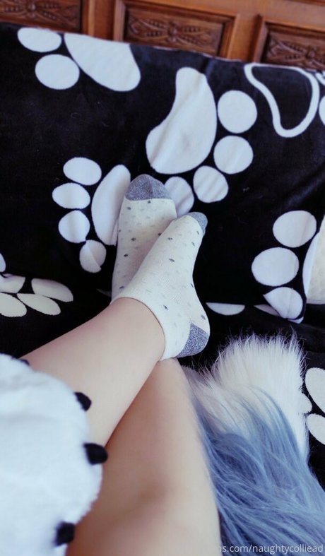 naughtycolliead onlyfans content type