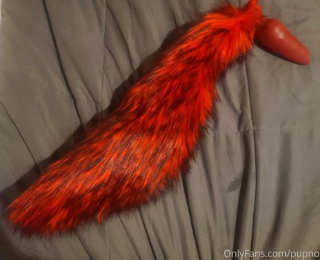 Kodi pup only fans leak