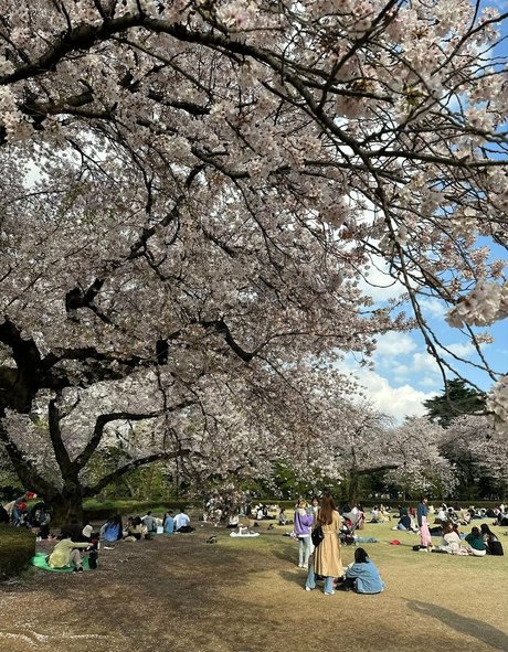 takizawaiori onlyfans pics