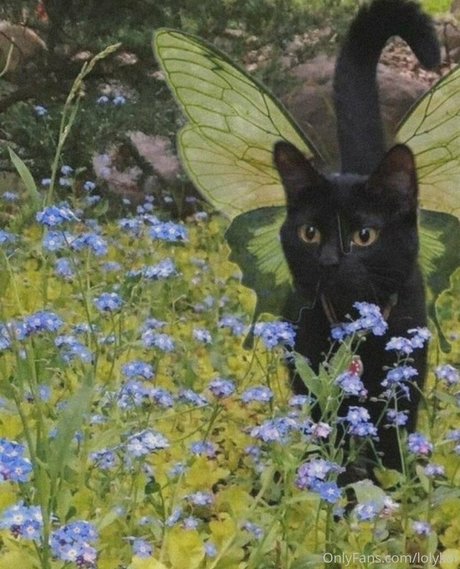 lolykoi leaks only fans