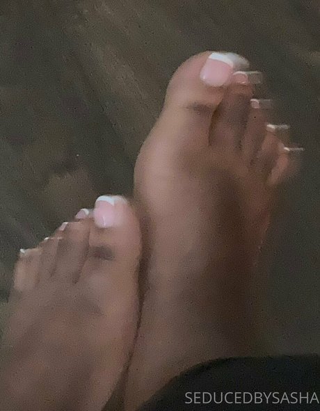 seducedbysasha onlyfans nudes leaked