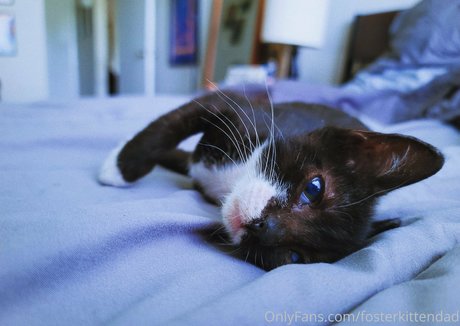 asian blowjob onlyfans hot negative