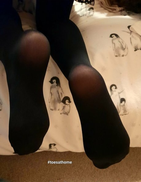 homefortoes leaked onlyfans sex tape