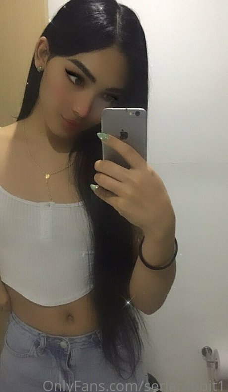 serjarabbit1 onlyfans leaks naked