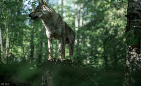 big tits latina onlyfans erotic photo