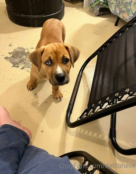 delilaheve onlyfans sex leaked