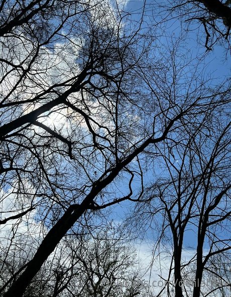 delilaheve leaked only fans