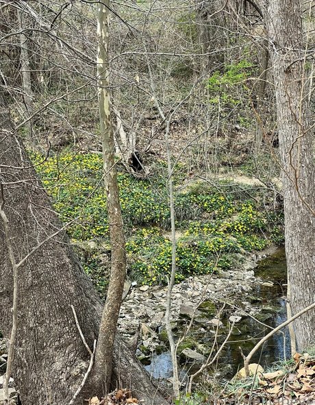 delilaheve onlyfans porn free