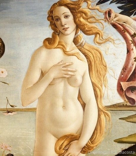 erosauclair onlyfans strip