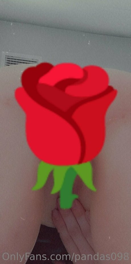 pandas098 leaked onlyfans sex tape