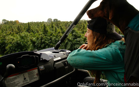 danceincannabis leaked nude onlyfans