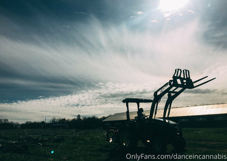 danceincannabis onlyfans pics