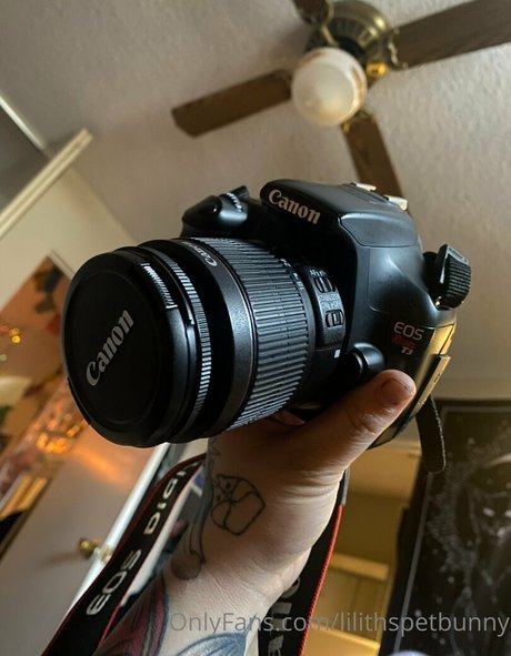 lilithspetbunny onlyfans porn free