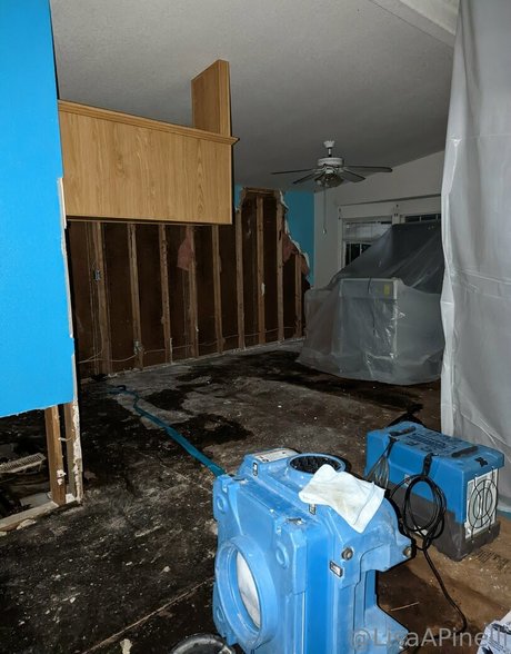 lisaapinelli onlyfans free