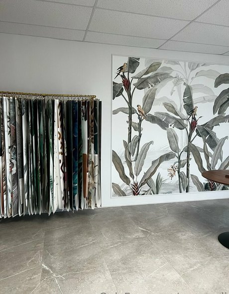 amrapali onlyfans creator