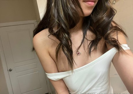 everybodymeow onlyfans nudes