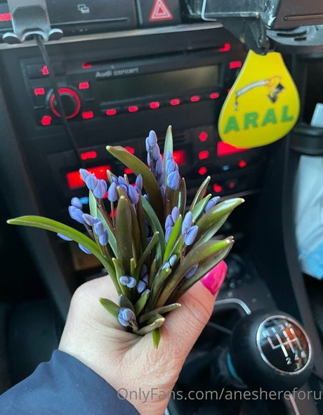 aneshereforu onlyfans posts