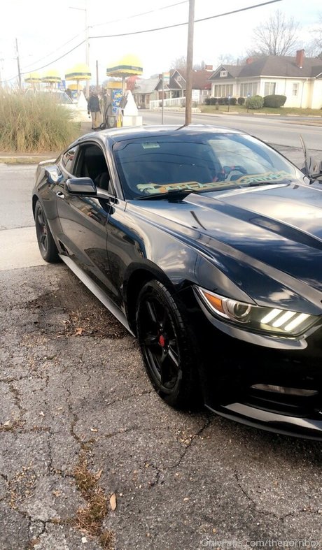 thepornbox onlyfans naked porn