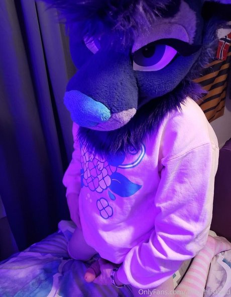 ryffhyena new onlyfans